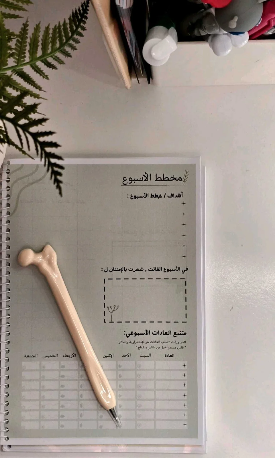 دفتر تنظيم سنوي  3