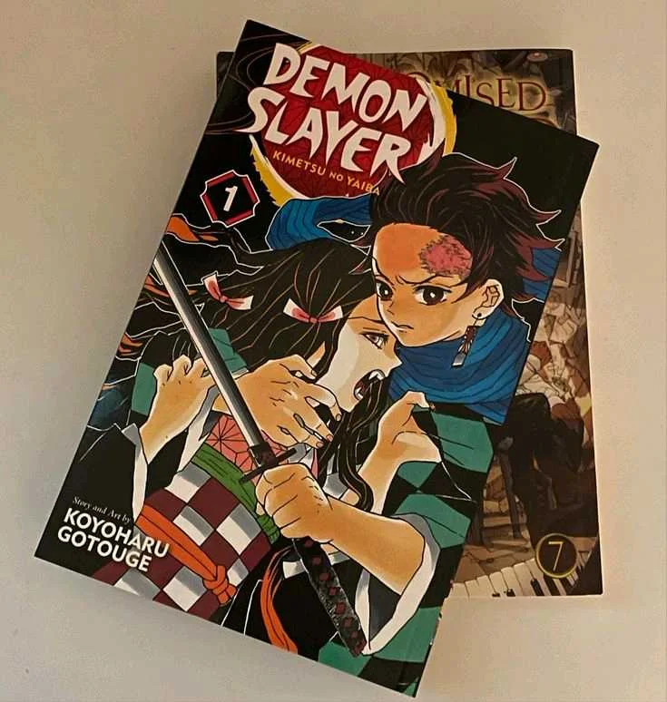 Demon slayer مانجا ديمون سلاير 2