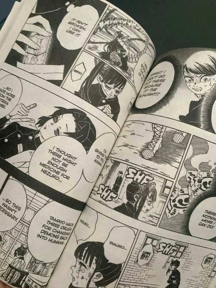 Demon slayer مانجا ديمون سلاير 4