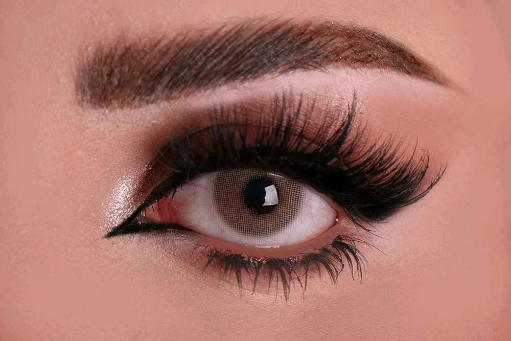 عدسات ميلونتي(MES LENTILLES)