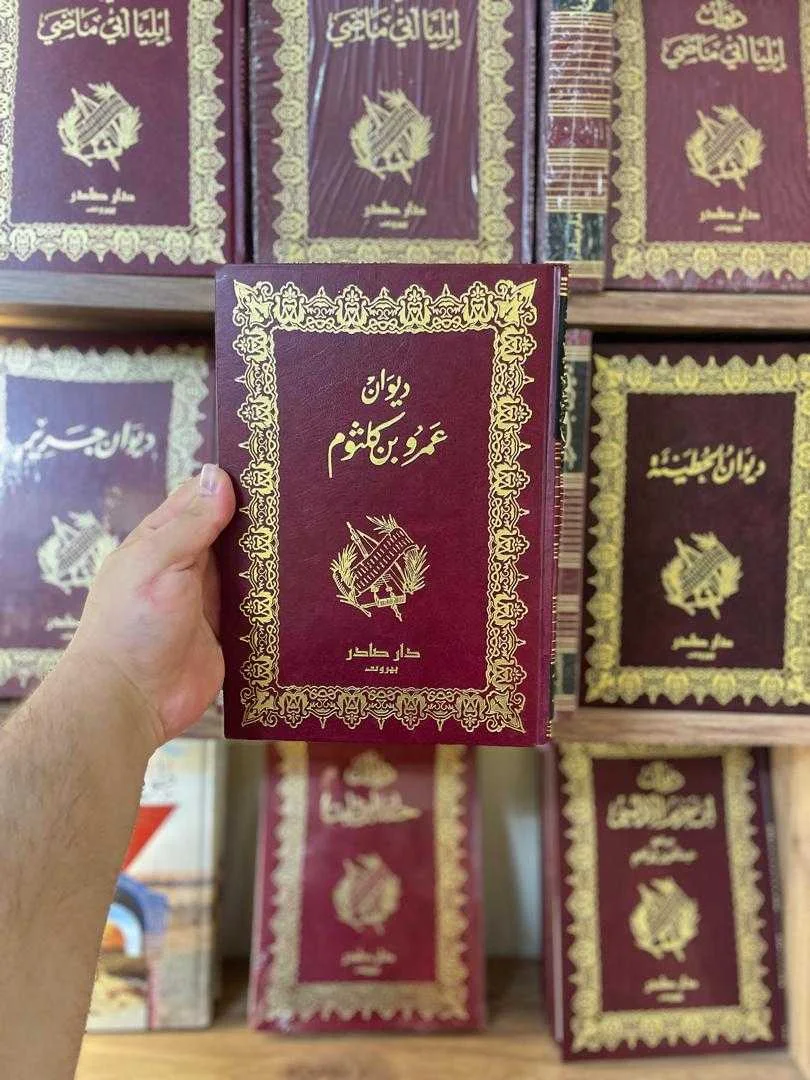 كتاب ديوان عمرو بن كلثوم