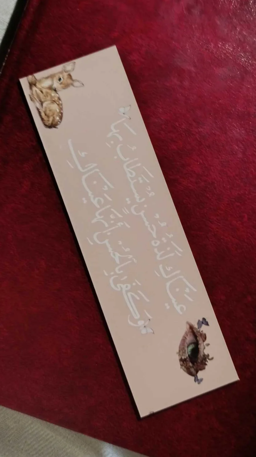 فاصل كتب كرتون