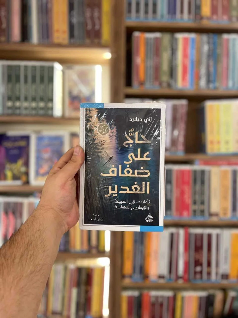 حاج على ضفاف الغدير - تأملات في 11