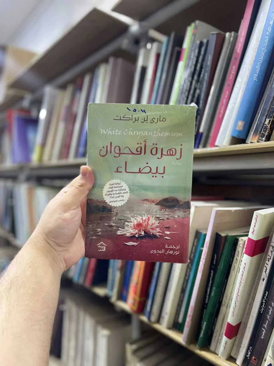 زهرة أقحوان بيضاء