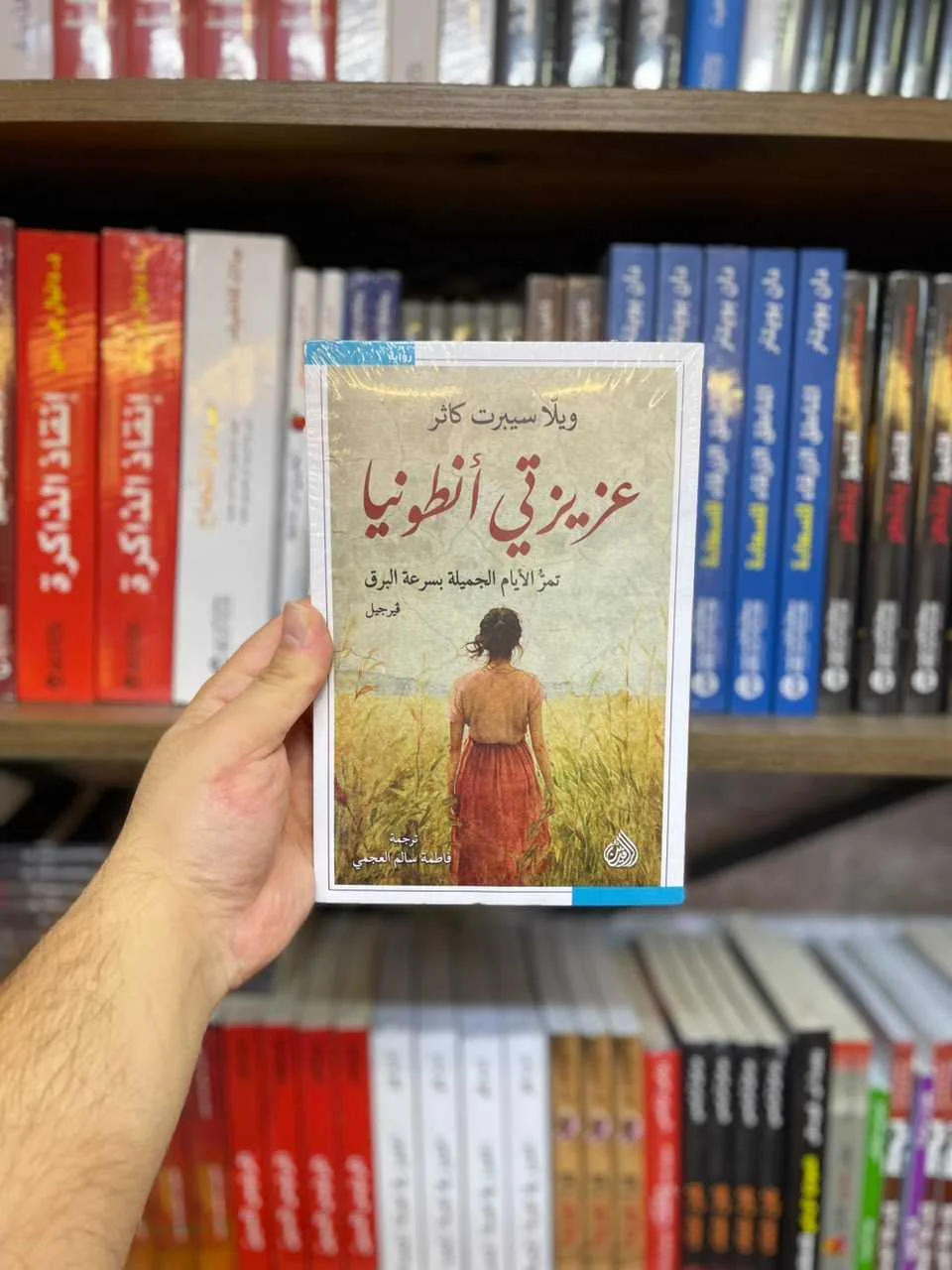 عزيزتي أنطونيا
