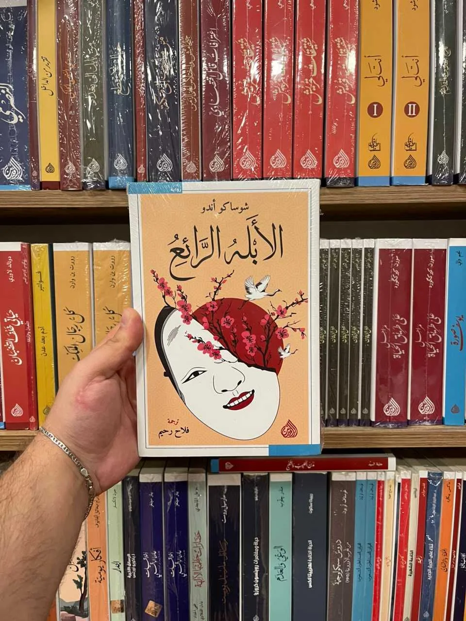 الابله الرائع